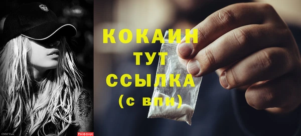 прущие грибы Заводоуковск