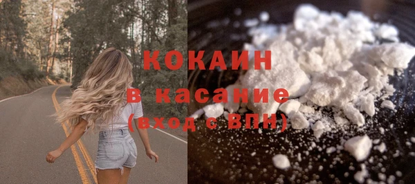 прущие грибы Заводоуковск