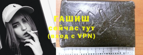 прущие грибы Заводоуковск