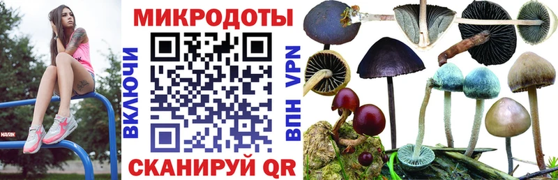 закладки  Севск  Псилоцибиновые грибы ЛСД 